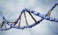 DNA strand