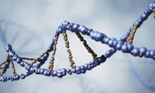 DNA strand